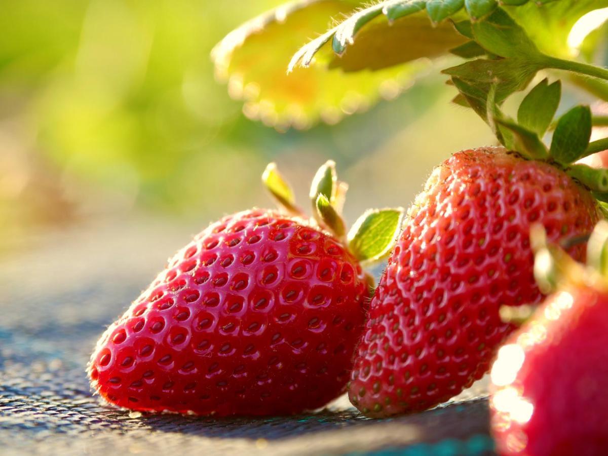 Verde Agua Agroturismo E Agricultura Biologica Couto 외부 사진