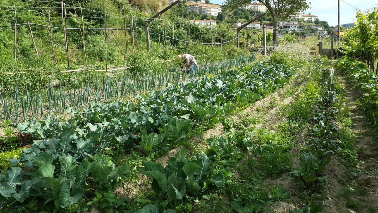 Verde Agua Agroturismo E Agricultura Biologica Couto 외부 사진