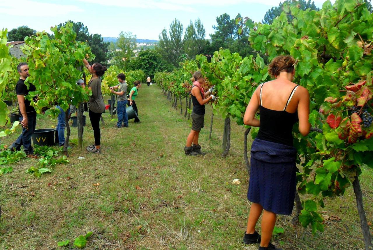 Verde Agua Agroturismo E Agricultura Biologica Couto 외부 사진